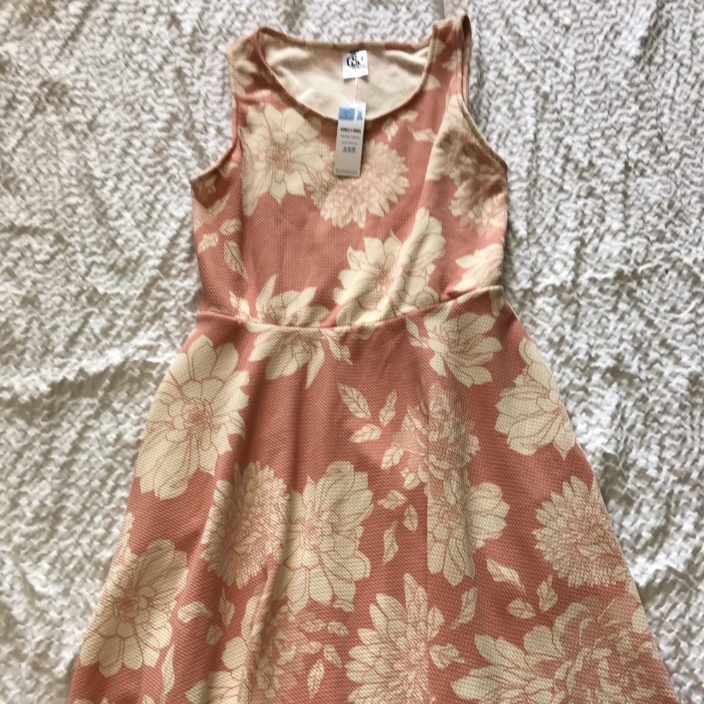 Agnes & Dora Fisher Dress.